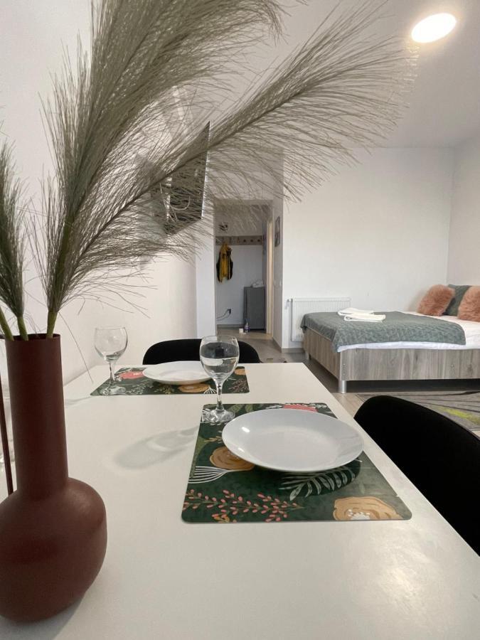 Studio Apartment Palas Mall Iasi Extérieur photo